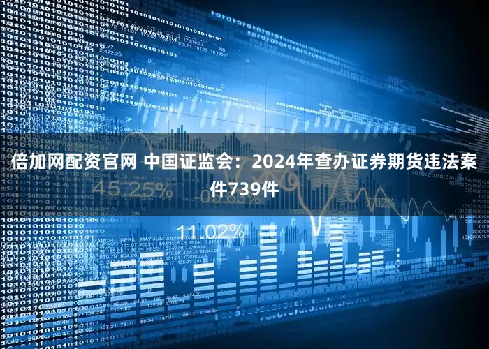 倍加网配资官网 中国证监会：2024年查办证券期货违法案件739件