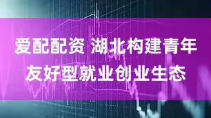 爱配配资 湖北构建青年友好型就业创业生态