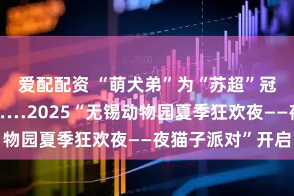 爱配配资 “萌犬弟”为“苏超”冠军“开盲盒”……2025“无锡动物园夏季狂欢夜——夜猫子派对”开启